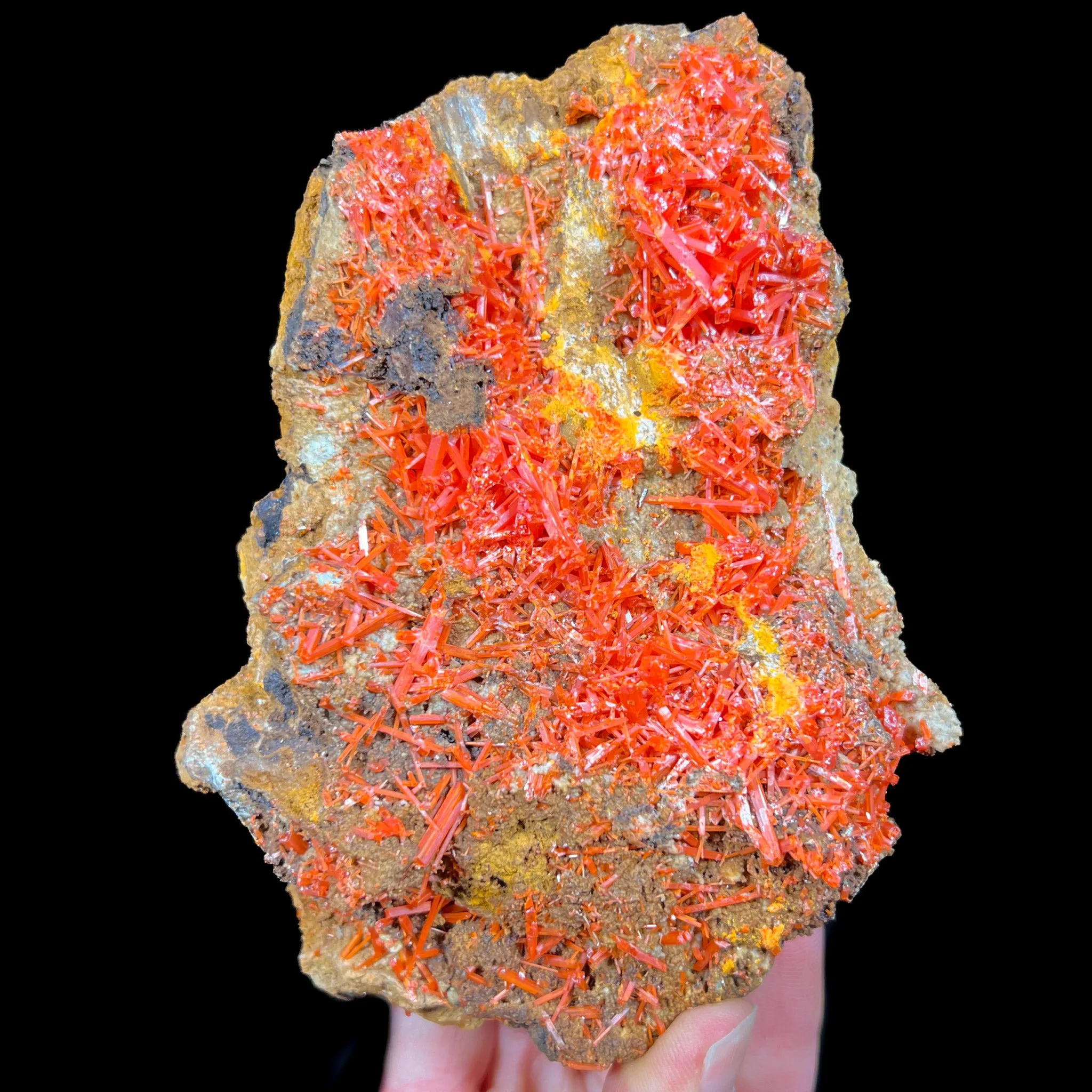 Large Crocoite