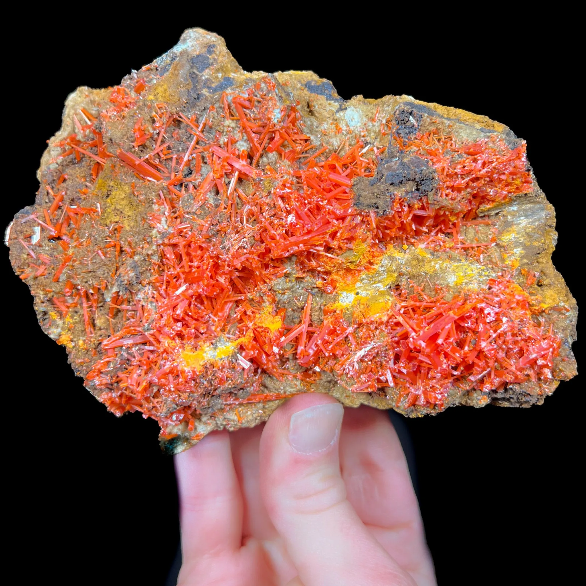 Large Crocoite