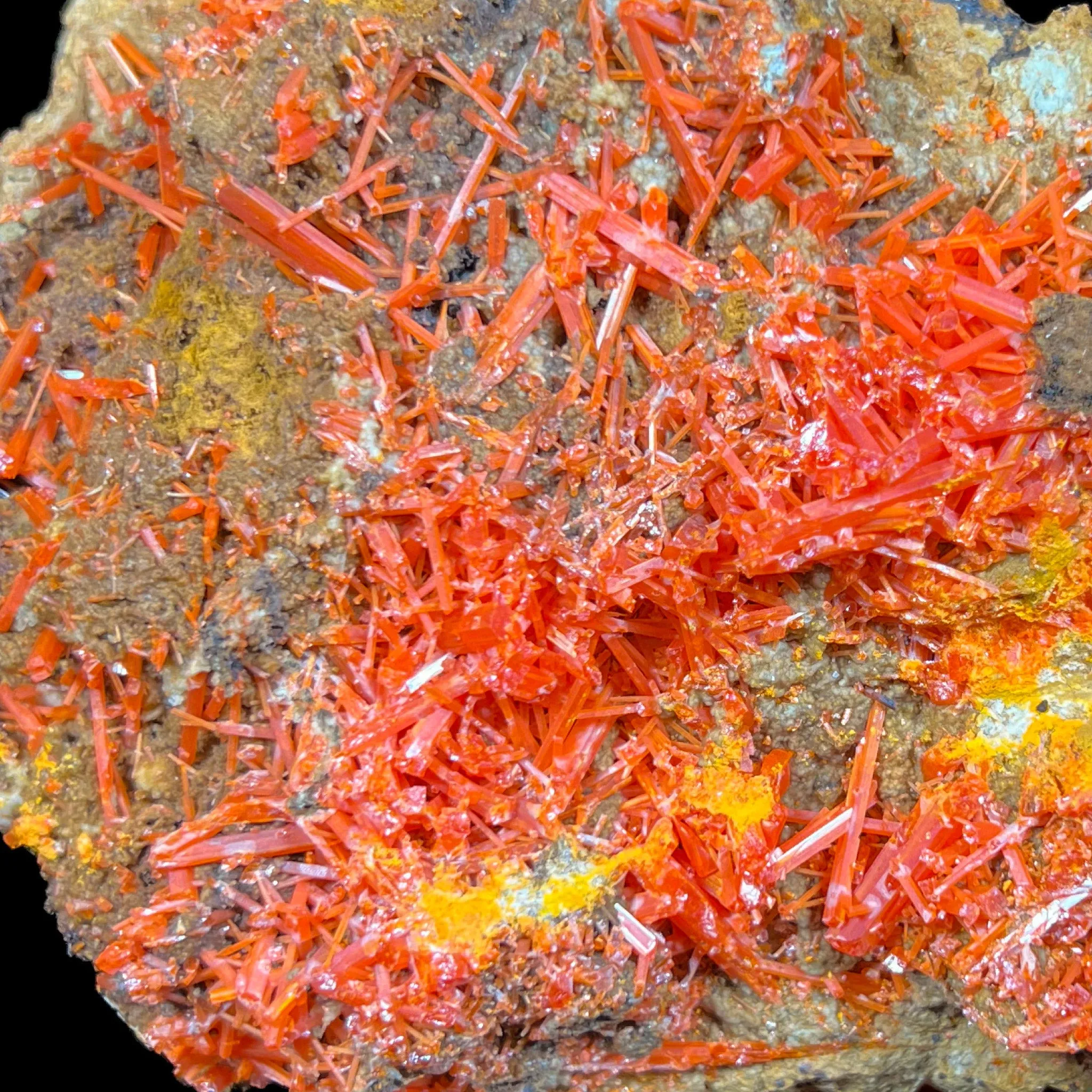 Large Crocoite