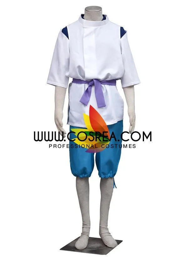 Spirited Away Haku Cosplay Costume