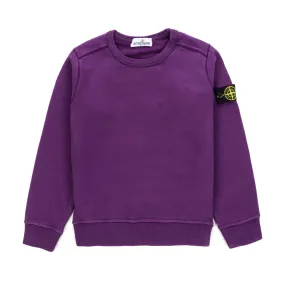 Stone Island Violet Sweatshirt For Boys