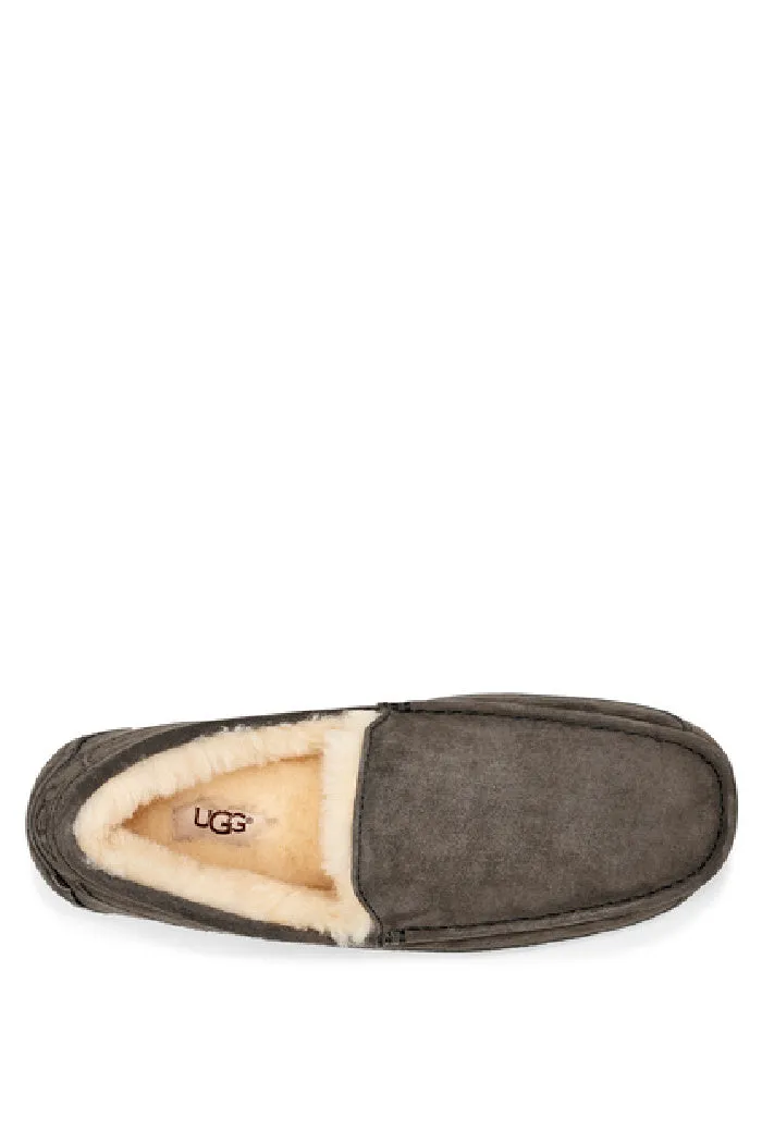 UGG ASCOT