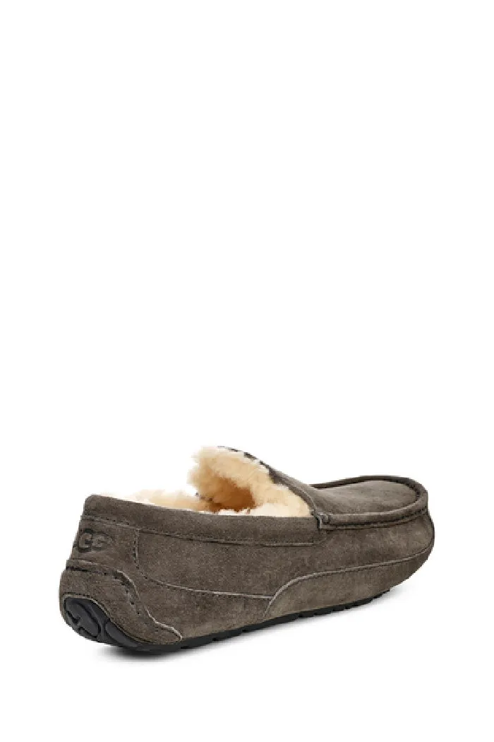 UGG ASCOT