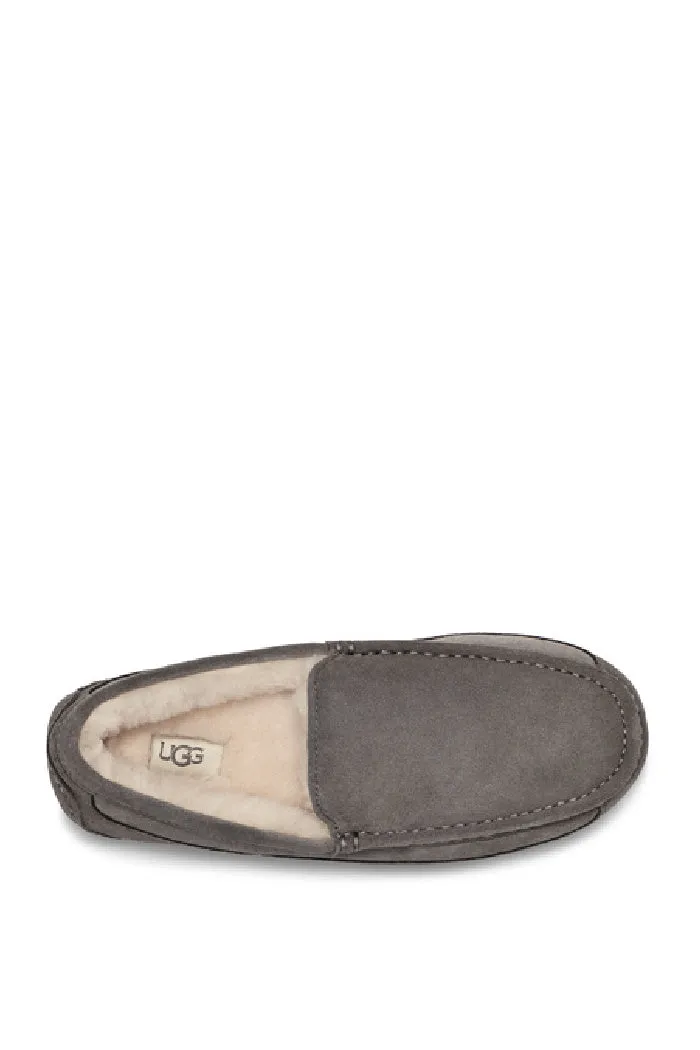 UGG ASCOT