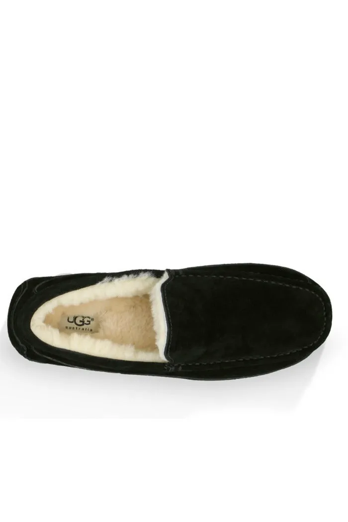 UGG ASCOT